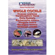 Ocean Nutrition Frozen Whole Cockle 100g