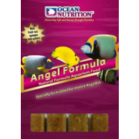 Ocean Nutrition Frozen Angel Formula 100g
