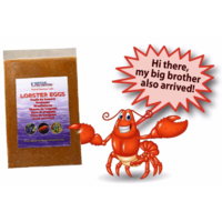 Ocean Nutrition Frozen Lobster Eggs Flat Pack 454g