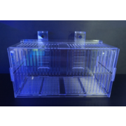 100% Aquatics XL Single Acclimatisation Box
