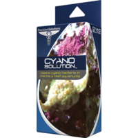 Precision Solutions Cyano Solution 2g