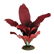 Amazon Red Silk Plant - Medium