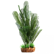 Madagascar Lace Silk Plant with Gravel Base - Large