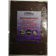 Ocean Nutrition Frozen Bloodworm Flatpack 454g