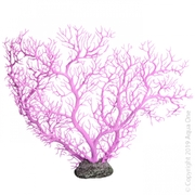 Purple Coral Fan