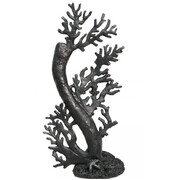 Ornamental Copi Coral Stems Black Large