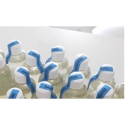 Live Copepods Dioithona Rigida 250ml