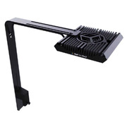 Reef Flare Pro Arm S Black