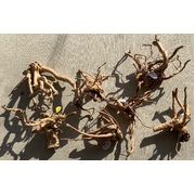 Driftwood Tweety Wood Medium