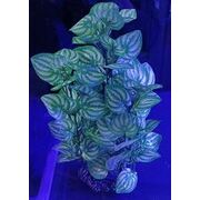 Artificial Plant Green