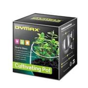 Dymax Crystal Cultivating Pot