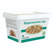 Pisces Superworms 100g
