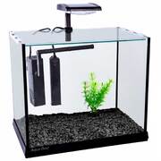 Aqua One Betta Oasis