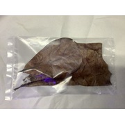 Indian Almond Leaf 3pk