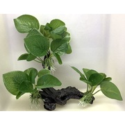 Small Artificial Drift Wood Ornament 2