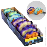 Aqua One Flexiscape Giant Clams