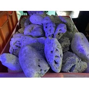 Cichlid Rock Per Kilo