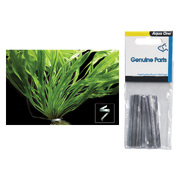 Plant Weight 6cm x 10pk