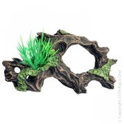 Driftwood With Plant Ornament