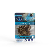 Jurassic Natural Crickets 6g Super Fresh Insects