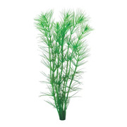 Pine Needle Hydrotriche