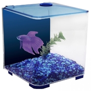 Betta Style 3L Blue