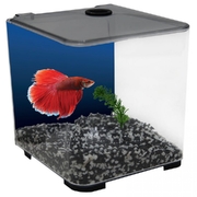 Betta Style 3L Charcoal