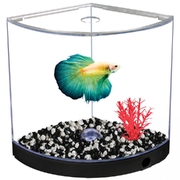 Betta Arc 1.2L Black with LED Light Base