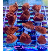 Chalice Red Frag
