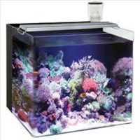Ocean Free Nano Marine Aquarium 63L Black