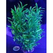 Artificial Plant Green 25cm