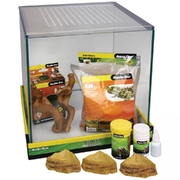 Hermit Crab Equipment & Food